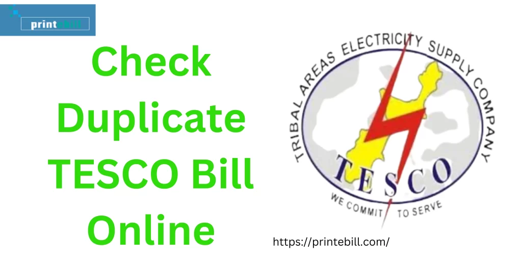 Download TESCO Duplicate Bill