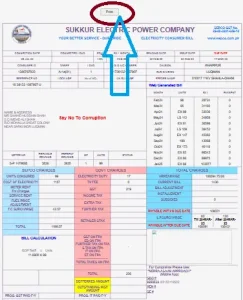 Click on Print Button to Download Sepco Duplicate bill as PDF